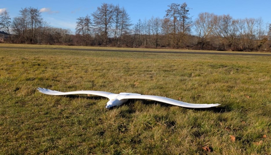 WhatsApp Image 2026-01-15 at 14.41.01.jpeg